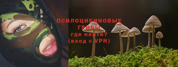 крисы Лихославль