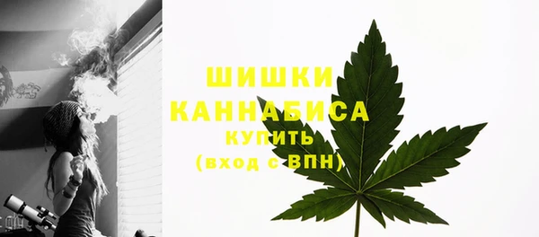 ECSTASY Лиски