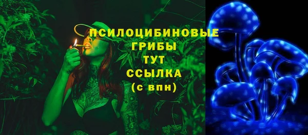 ECSTASY Лиски
