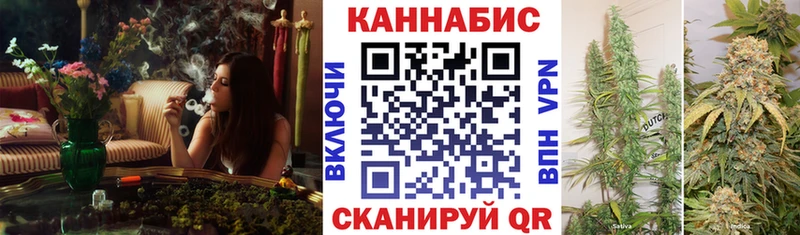 Конопля OG Kush  Купить где  Надым 